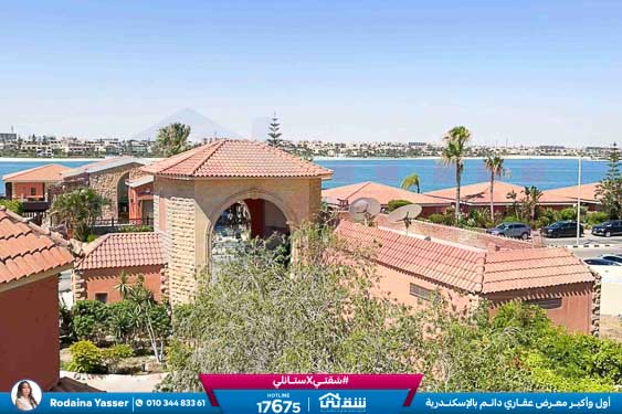 WhatsApp Image 2026-04-12 at 4.51.39 PM (1)