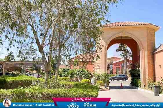 WhatsApp Image 2026-04-12 at 4.51.39 PM