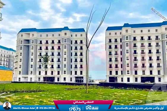 WhatsApp Image 2026-04-14 at 10.06.58 AM (1)