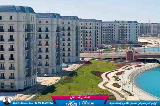 WhatsApp Image 2026-04-14 at 10.06.59 AM