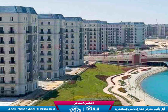 WhatsApp Image 2026-04-14 at 10.06.59 AM