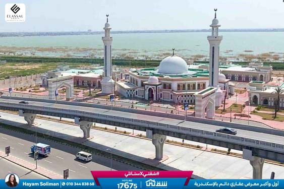 WhatsApp Image 2026-04-14 at 4.51.00 PM (1)