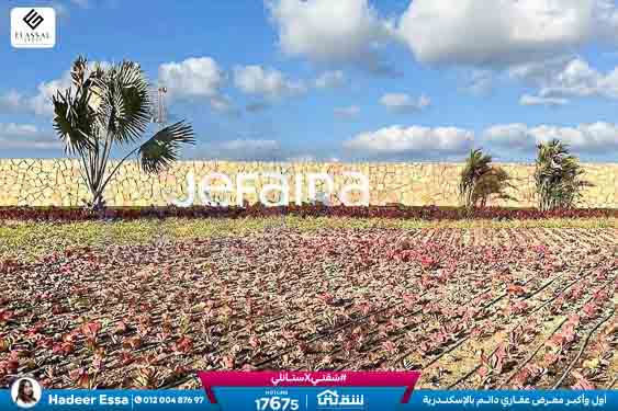 WhatsApp Image 2026-04-15 at 9.49.52 AM