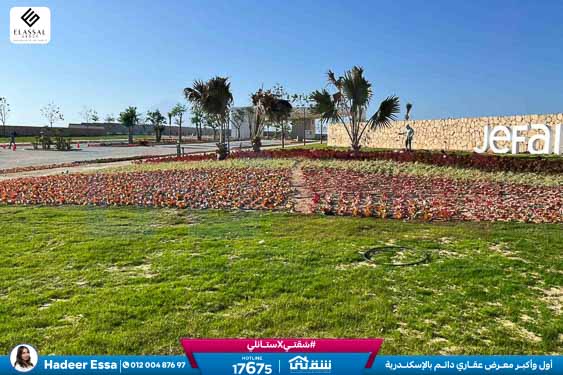 WhatsApp Image 2026-04-15 at 9.49.53 AM