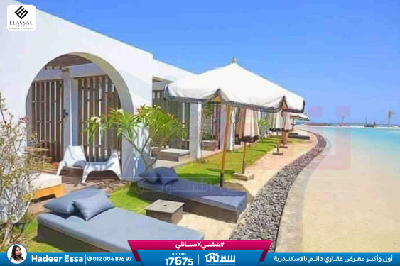 WhatsApp Image 2026-04-15 at 9.52.48 AM (1)