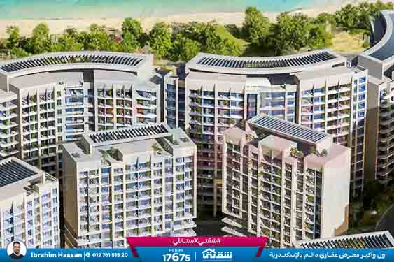 WhatsApp Image 2026-04-16 at 4.07.41 PM (1)