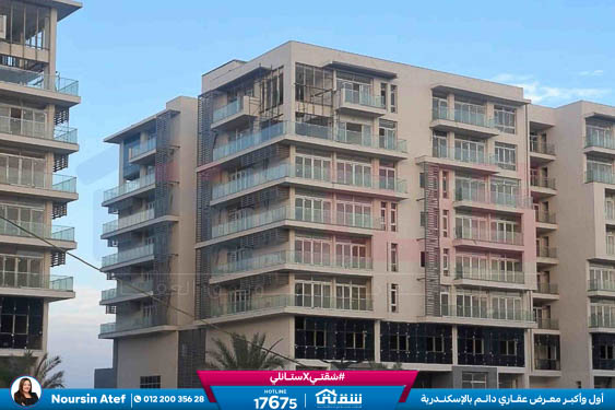 WhatsApp Image 2026-04-19 at 11.41.40 AM