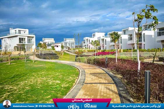 WhatsApp Image 2026-04-19 at 11.41.41 AM