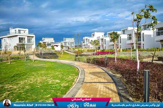 WhatsApp Image 2026-04-19 at 11.41.41 AM