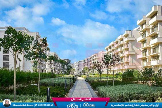 WhatsApp Image 2026-04-20 at 1.39.44 PM (1)