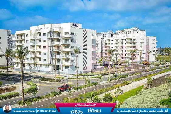 WhatsApp Image 2026-04-20 at 1.39.44 PM