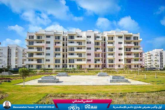 WhatsApp Image 2026-04-20 at 1.39.45 PM (2)