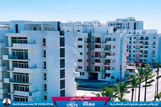 WhatsApp Image 2026-04-20 at 1.39.46 PM (2)