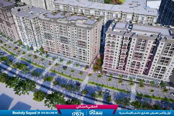 WhatsApp Image 2026-04-22 at 1.03.55 PM