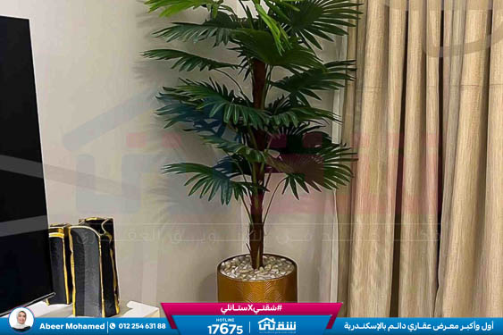 WhatsApp Image 2026-04-26 at 3.48.05 PM