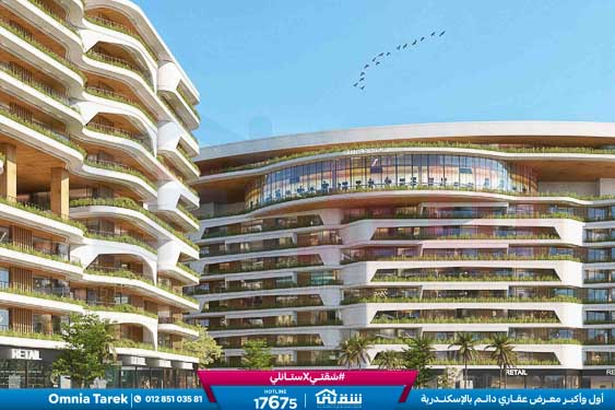 the one brochure printed version copy-15