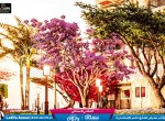Boulevard online_65 (2)-11