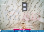 DSC02407