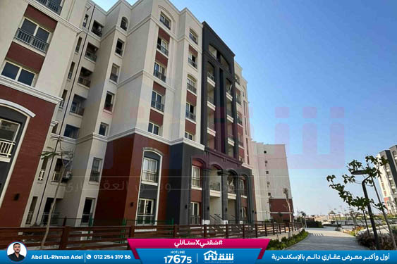 IMG-20251126-WA0035