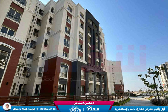 IMG-20251126-WA0035