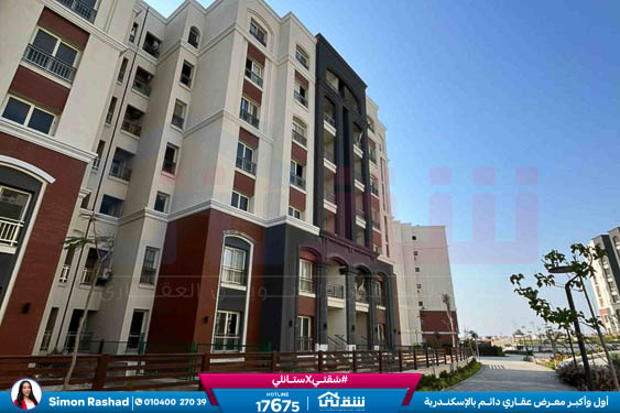 IMG-20251126-WA0035