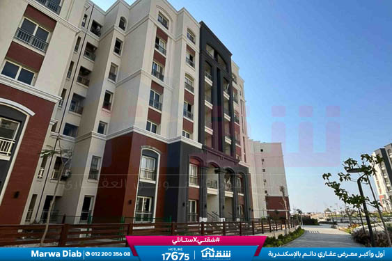 IMG-20251126-WA0035