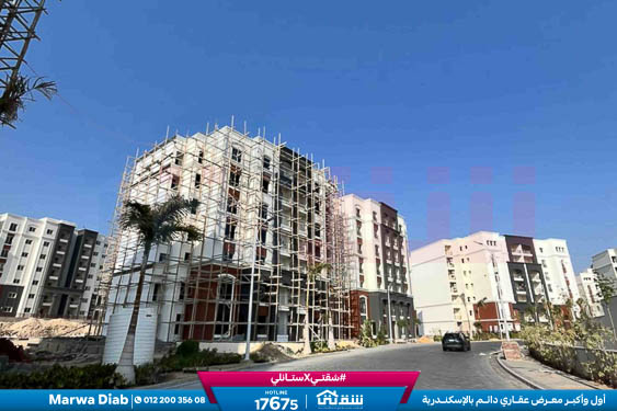 IMG-20251126-WA0044