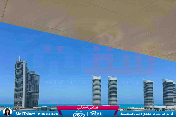 IMG-20251129-WA0042