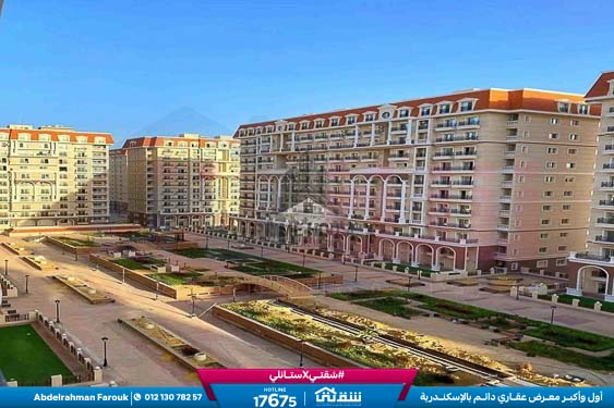 WhatsApp Image 2026-02-12 at 2.18.36 PM