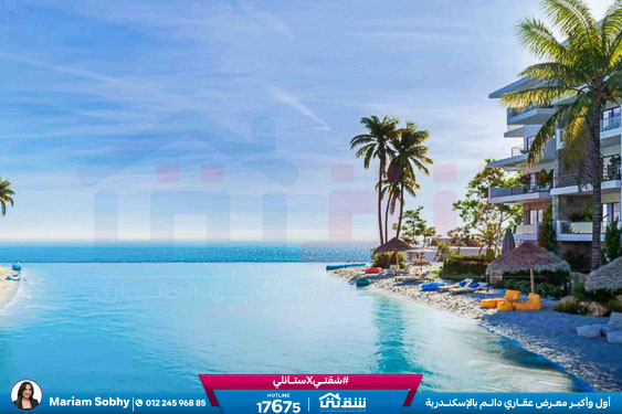 WhatsApp Image 2026-04-27 at 3.31.08 PM