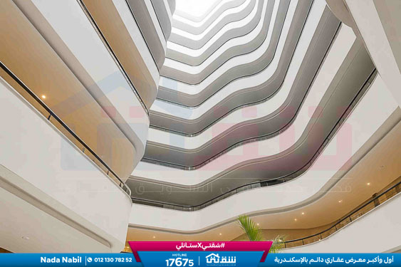 WhatsApp Image 2026-05-09 at 12.56.20 PM