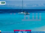 Blu Stays Fact sheet-1