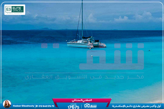Blu Stays Fact sheet-1