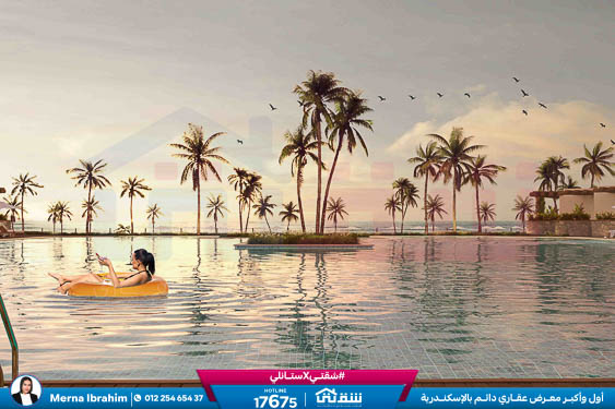 DirectionWhite_Brochure 2-26