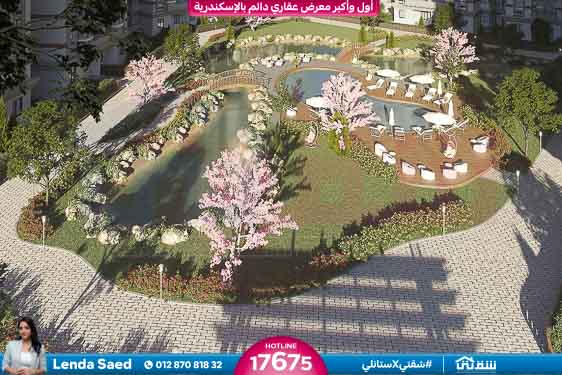 IMG-20250519-WA0005