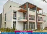 IMG_4140