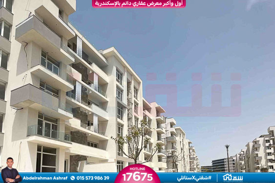 WhatsApp Image 2026-06-11 at 11.02.10 (3)