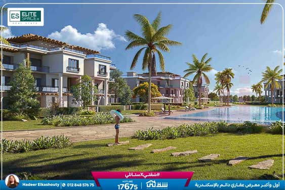 DW Digital Brochure cs 2025-64