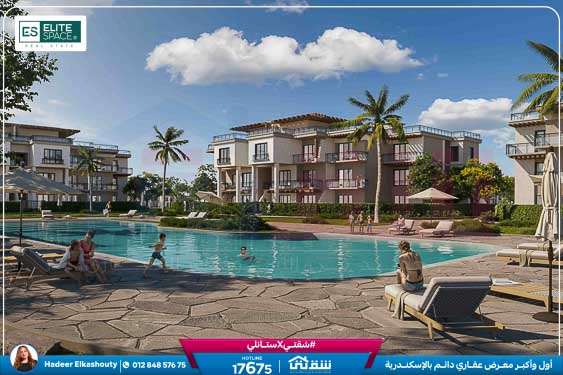 DW Digital Brochure cs 2025-66