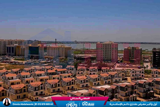 IMG-20250722-WA0006