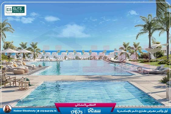 New Dbay pdf brochure 1-2
