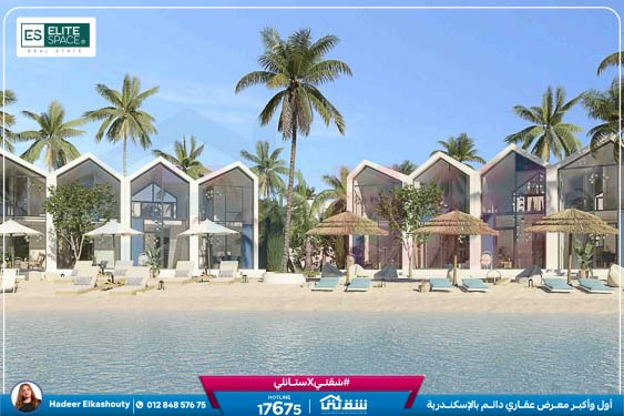 New Dbay pdf brochure 1-9