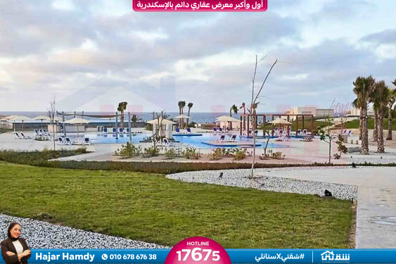 WhatsApp Image 2026-06-25 at 15.08.44