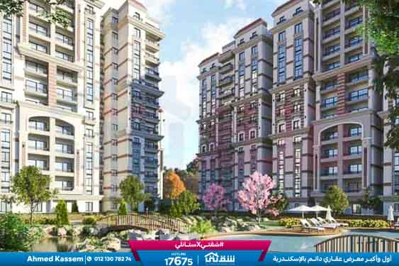 WhatsApp Image 2026-07-09 at 17.31.40